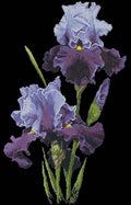 Irises Cross Stitch Pattern (PDF + XSD) - Cross Stitch Pattern - LOSKUTOK