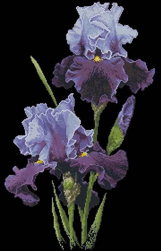 Irises Cross Stitch Pattern (PDF + XSD) - Cross Stitch Pattern - LOSKUTOK